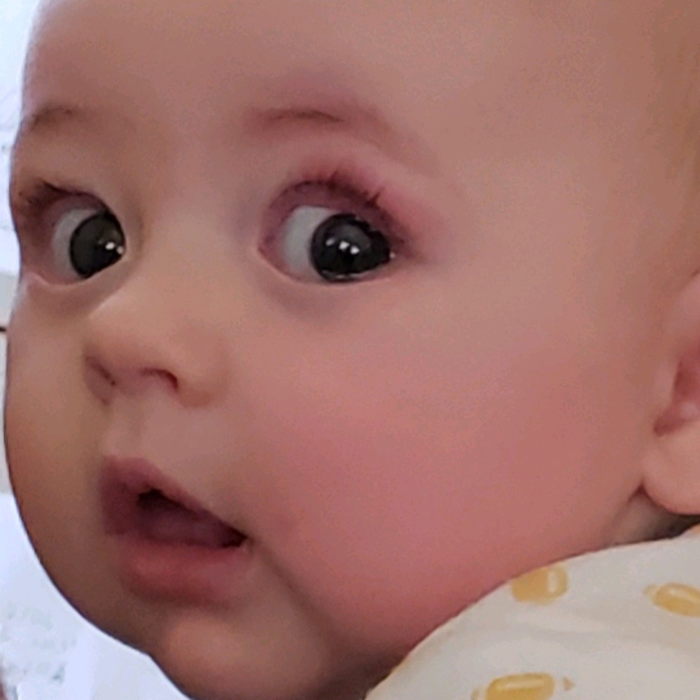 Meet your Posher, Haley